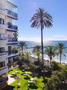 Palm Trees overlooking the quiet beach in November in Marbella Andalucia Spain Royalty Free Stock Photo