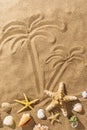 Palm trees painted on the sand and various seashells on a sunny day, summer background