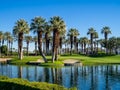 Palm trees, Palm Desert golf course Royalty Free Stock Photo