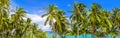 Palm trees panoramic view, beautiful tropical island beach panorama, green coconut palms leaves, turquoise sea water, ocean coast Royalty Free Stock Photo