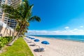 Palm trees and parasol row on Miami Beach, Florida, USA Royalty Free Stock Photo