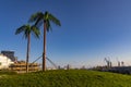 Palm Trees Of Park Fiction In Hamburg