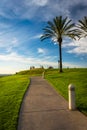 Palm trees and path at Hilltop Park, in Signal Hill Royalty Free Stock Photo