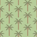 Palm trees pattern