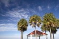 Palm trees and pavilion under blue sky