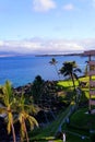 Palm trees on perfect lawn, tropical setting