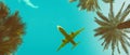Palm trees perspective view long banner with airplane vintage toned