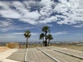 Palm trees on the Phinikoudes beach in Larnaca Royalty Free Stock Photo