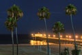 Palm trees at sunset on the beach Royalty Free Stock Photo