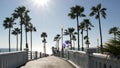 Palm trees and pier, tropical ocean beach, summertime California coast, sunny day USA. Dazzling sun