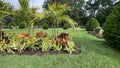 Boston Commons Gardens landscape with bushes and plants. Royalty Free Stock Photo