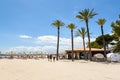 Palm trees at the Playa de Alcudia beach in Mallorca, Spain Royalty Free Stock Photo