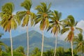 Palm trees at Playa El Espino Royalty Free Stock Photo