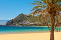 Palm trees Playa las Teresitas Beach, Tenerife Royalty Free Stock Photo