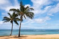 Palm Trees on Poipu Beach, Kauai Hawaii. Royalty Free Stock Photo