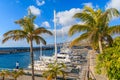 Palm trees in Puerto Calero marina