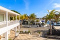 Palm trees in Puerto Calero marina Royalty Free Stock Photo