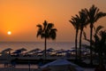 Palm trees by the Red Sea at sunrise, Egypt