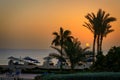 Palm trees by the Red Sea at sunrise, Egypt