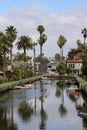 Palm Trees Reflect in a Canal in Venice, California