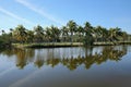 Palm trees reflect at Fairchild Tropical Gardens