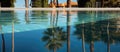 Palm trees reflected in the azure water of a swimming pool