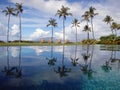 Palm trees reflected in pool at resort