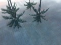 Palm trees reflected in swimming pool with blue tile, Thailand Royalty Free Stock Photo