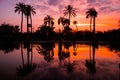 Palm Trees Reflected in the Water in Maria Luisa Park at Sunset, Seville, Andalusia, Spain Royalty Free Stock Photo