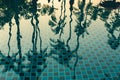 Palm trees reflected in the water of the pool. Nature. Royalty Free Stock Photo