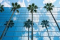 palm trees reflecting on a sleek glass office facade