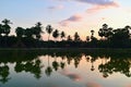 Palm Trees Reflecting Water at Sukhothai Historical Park