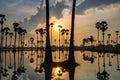 palm trees with reflection on water at sunrise, Sam Khok Royalty Free Stock Photo