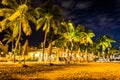 Palm trees and restaurant at night at South Beach, in Key West, Royalty Free Stock Photo