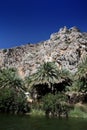 Palm trees at the river bank of Preveli Crete Royalty Free Stock Photo