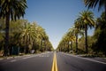 Palm trees road Royalty Free Stock Photo