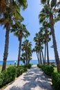 Palm trees road at the sea in protaras beach Royalty Free Stock Photo