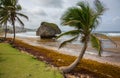 Palm Trees and Rock Formations at the Beach