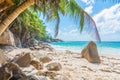 Palm trees and rocks by the sea in Anse Intendance beach Royalty Free Stock Photo