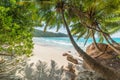 Palm trees and rocks by the sea in Anse Lazio beach Royalty Free Stock Photo