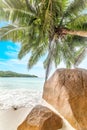 Palm trees and rocks by the sea in world famous Anse Lazio beach Royalty Free Stock Photo