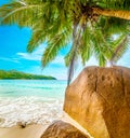 Palm trees and rocks by the sea in world famous Anse Lazio beach Royalty Free Stock Photo