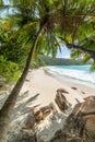 Palm trees and rocks in world famous Anse Lazio in Praslin island Royalty Free Stock Photo