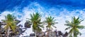 Palm trees and a rocky shore. Sea waves are breaking on the rocks on the beach. Sri Lanka. Wide photo Royalty Free Stock Photo