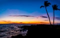 Palm Trees and The Rugged Lava Shoreline of Waiulua Bay