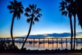 Palm Trees and the San Diego Bay Bridge Royalty Free Stock Photo