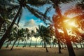 Palm trees and sand in Bois Jolan beach at sunset Royalty Free Stock Photo