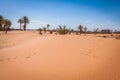 Palm trees and sand dunes in the Sahara Desert, Merzouga, Morocco Royalty Free Stock Photo