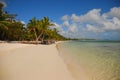 Palm trees and sandy beach in Dominican Republic