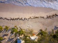 Palm trees on the sandy shore of the ocean. small houses can be seen among the palm trees. Wooden deck chairs on the beach. Royalty Free Stock Photo